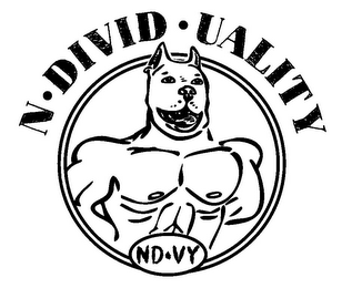 N·DIVID·UALITY ND·VY logo
