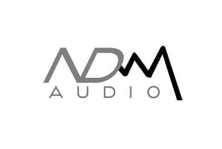 NDM AUDIO logo
