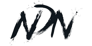 NDN logo