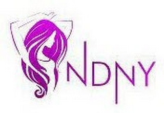 NDNY logo