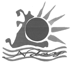 NDONG logo