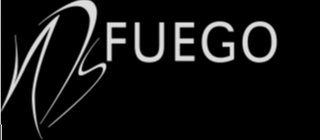 NDS FUEGO logo