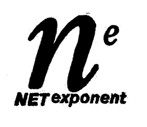 NE NETEXPONENT logo