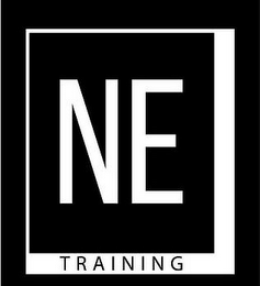 NE TRAINING logo