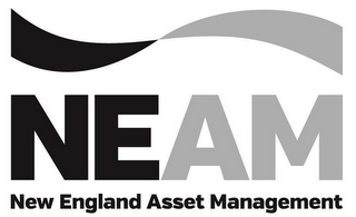 NEAM NEW ENGLAND ASSET MANAGEMENT logo