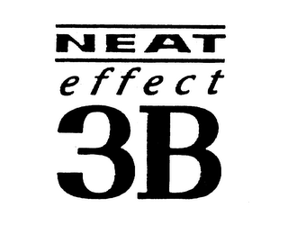 NEAT EFFECT 3B logo