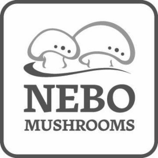 NEBO MUSHROOMS logo