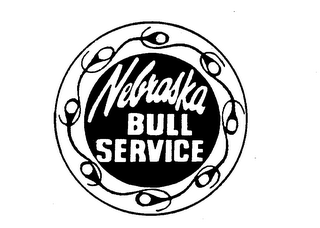 NEBRASKA BULL SERVICE logo