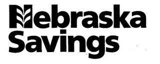 NEBRASKA SAVINGS logo