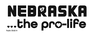 NEBRASKA THE PRO-LIFE PSALM 139:13-14 logo