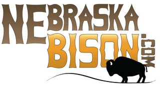NEBRASKABISON.COM logo