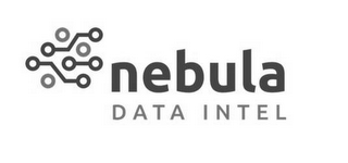 NEBULA DATA INTEL logo