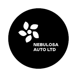 NEBULOSA AUTO LTD logo