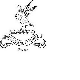 NEC TENUI PENNA SINCE 1881 logo