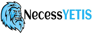 NECESSYETIS logo