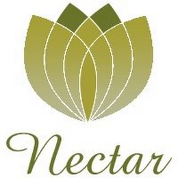 NECTAR logo