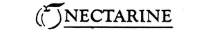 NECTARINE