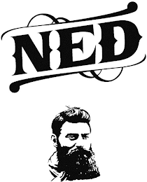NED logo