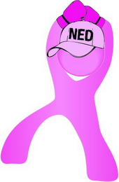 NED logo