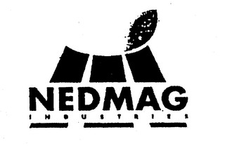 NEDMAG INDUSTRIES logo