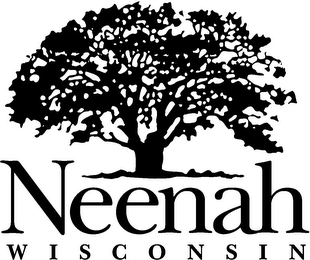 NEENAH WISCONSIN logo