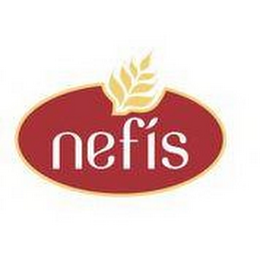 NEFIS logo