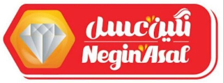 NEGIN ASAL logo