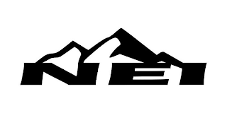 NEI logo