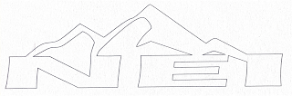 NEI logo