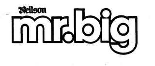 NEILSON MR.BIG logo