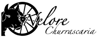 NELORE CHURRASCARIA logo
