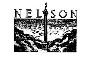 NELSON logo