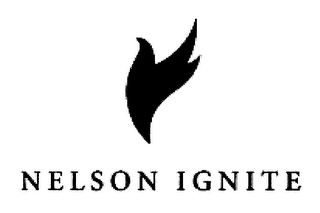 NELSON IGNITE logo