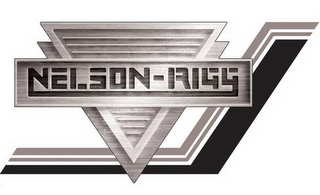 NELSON-RIGG logo