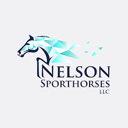 NELSON SPORTHORSES LLC logo