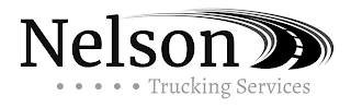 NELSON TRUCKING SERVICES logo