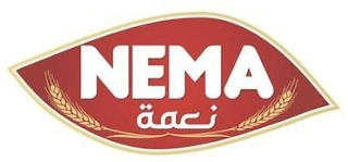 NEMA logo