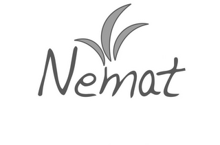 NEMAT logo