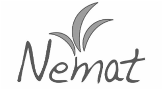NEMAT logo