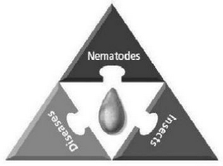 NEMATODES DISEASES INSECTS logo