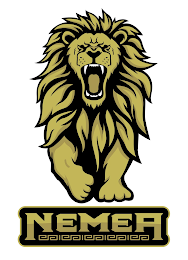 NEMEA logo