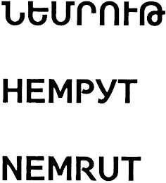 NEMRUT logo