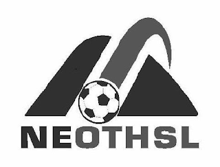 NEOTHSL logo