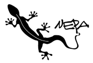 NEPA logo