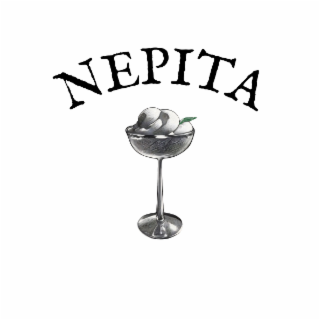 NEPITA logo