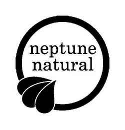 NEPTUNE NATURAL logo