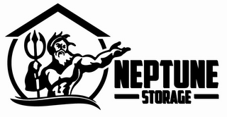 NEPTUNE STORAGE logo