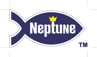 NEPTUNE, TM logo