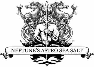 NEPTUNE'S ASTRO SEA SALT logo