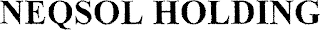 NEQSOL HOLDING logo